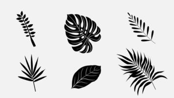 Black and white summer leaf vector collections