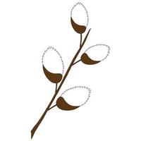 willow branch on a white background. flat illustration for design. vector