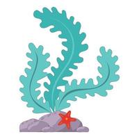 ilustración vectorial de algas verdes en una roca, con una estrella de mar. vector