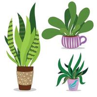 un conjunto de plantas de interior en macetas en un estilo plano vector