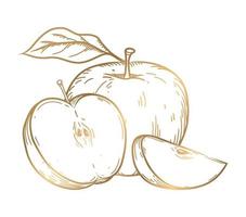 manzanas doradas, ramas y hojas, ilustración vectorial de croquis dibujada a mano vector