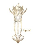 vector gold squid on a white background