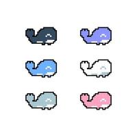 whale vector pixel art style