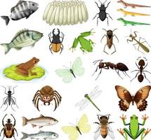 diferentes tipos de insectos y animales sobre fondo blanco vector