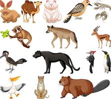 colección de diferentes tipos de animales vector