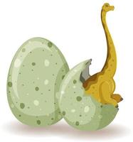 Brachiosaurus hatching from egg vector