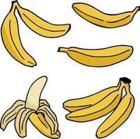 Bananas isolated on white background. Vector image.