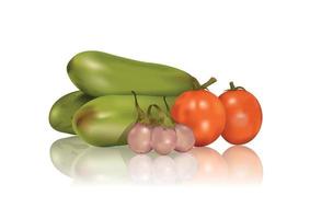Tomatoes,green aubergine and eggplant vector
