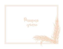 Pampas grass gentle background. Frame with dry grass for the decoration of invitations. Vector hand illustration.