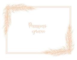 Pampas grass dried natural . Background  in boho style.  Flat lay with copy space, top view. Vector illustration of cortaderia selloana.