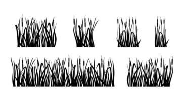 Marsh grass and reeds set.  Silhouette of cattail isolated on white background.  Vector illustration.