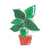 Flower in a pot hand-drawn illustration on a white background. Vector. vector