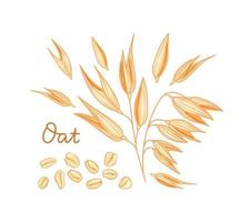 Oats set. Spikelets, grains and flakes on a white background. Cartoon style. Vector illustration.