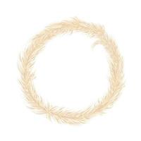 Pampas grass  wreath. Festive decoration template. Panicle Cortaderia selloana South America. Vector illustration.