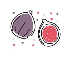 Juicy figs are whole and half. Set on a white background. Abstract. Vector illustration.