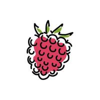 Juicy raspberry icon on a white background. Vector abstract illustration.