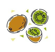 Kiwi fruit set. Abstract. Vector illustration.