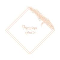 Background with dry pampas grass. Decor of invitations and postcards in the Boho style. Vector illustration