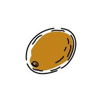 Kiwi fruit icon on white background. Vector illustration.