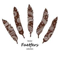 Collection of stylized feathers in ethnic style. Isolated on white background vector