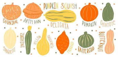 Pumpkin set type name collection.Varieties shape and color.Collection hand drawn element food. vector