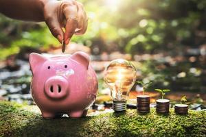 hand putting of coins into piggy bank with lightbulb and money in nature photo