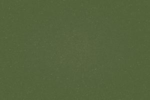 Texture of old dark green canvas, texture background photo