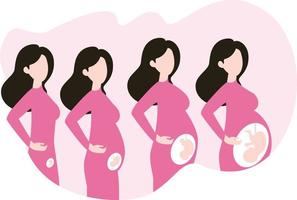 This is the procedure of a pregnancy growth. vector