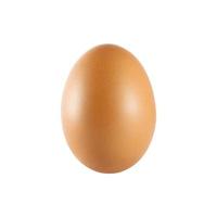 vertical de huevo de pollo marrón único aislado sobre fondo blanco. foto