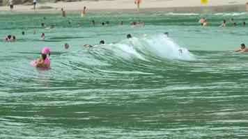 surfistas en las olas video