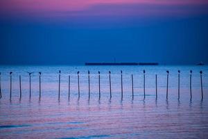 Landscape of seagulls flying during sunset in the evening. photo