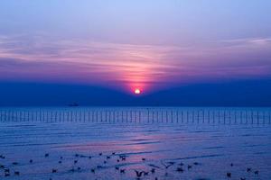 paisaje de gaviotas volando durante la puesta de sol por la noche. foto