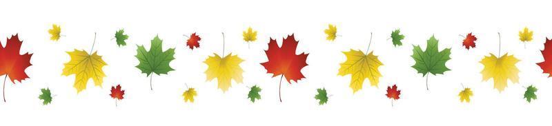 imagen vectorial de hojas de otoño vector