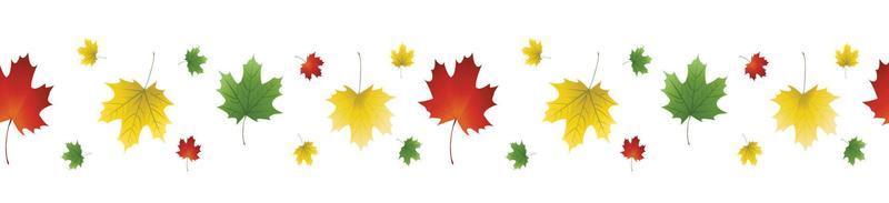 vector image of autumn leaves