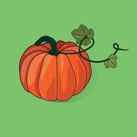 Vector image of an pumpkin