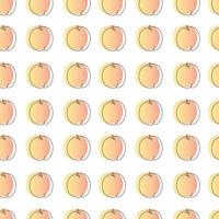 vector seamless pattern with the image of apricot