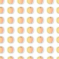 vector seamless pattern with the image of apricot