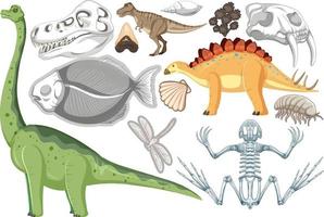 un conjunto de dinosaurios y fósiles vector