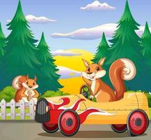 A squirrel driving on island vector