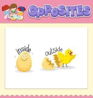 Opposite words for inside and outside vector