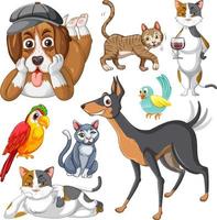 Set of different domestic animals on white background vector