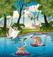 Scene with many sugar gliders in forest vector