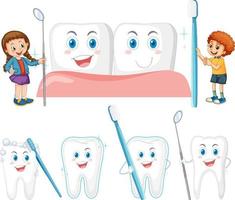 Set of all types of teeth on white background vector