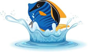 A water splash with fish on white background vector