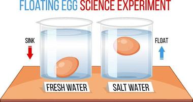 Science Experiment with test eggs for freshness vector