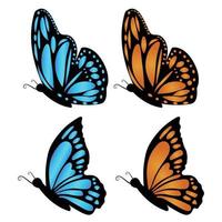 Realistic butterfly vector