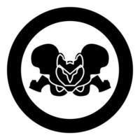 Pelvis skeleton black icon in circle vector illustration isolated .