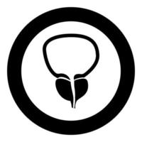 The prostate gland and bladder icon black color in circle vector