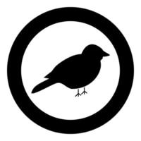 icono de pájaro color negro en círculo vector