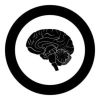 Brain black icon in circle vector